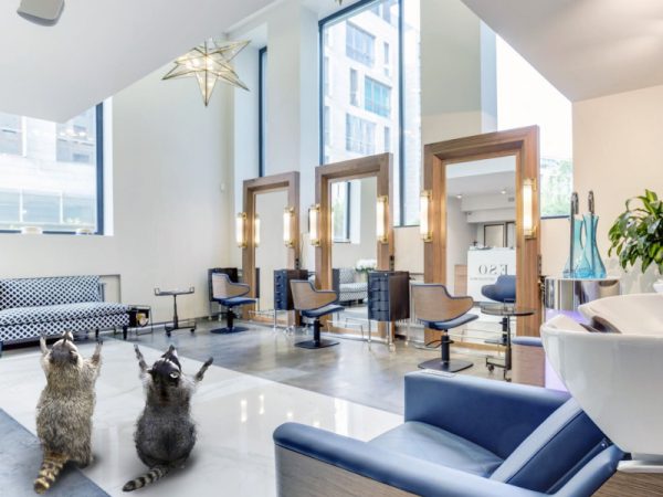 makdesign.com.ua_inter'er_salona_krasoty_13 интерьер салона красоты, inter'er salona krasoty, dizajna salona krasoty,kak sozdat' krasivyj inter'er, inter'er v dome, inter'er v kvartire, inter'er v salone krasoty, primery inter'erov salon krasoty, sovremennyj salon krasoty, zonirovanie salona krasoty, primery inter'erov salona krasoty, top 10 salonov krasoty, inter'er salona krasoty v stile provans, salon krasoty v sovremennom klassicheskom stile, salon krasoty v stile modern, salon krasoty jeklektika, intere'r salona krasoty v minimalistichnom stile, minimalistichnyj inter'er salona krasoty, sovremennyj salon v stile minimalizm, dizajn inter'era salona krasoty, realizovannye primery inter'erov salonov krasoty